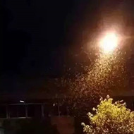 白蟻危害大，4-6月份進(jìn)入其活躍期 防治白蟻不容忽視！